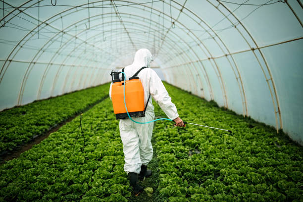 Best Best Pest Control Companies  in Oneida, NY