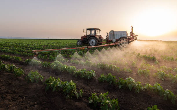 Best Commercial Pest Control Services  in Oneida, NY