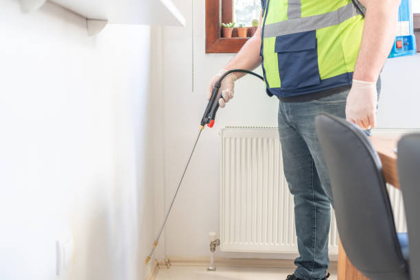Best Ant Control Services  in Oneida, NY