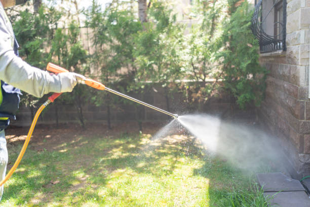 Best Wasp Removal Services  in Oneida, NY